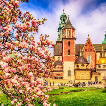 Catedral de Wawel - Polonia
