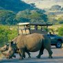 Safari por el Parque Kruger