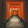 Fushimi Inari-taisha - Kioto2_l