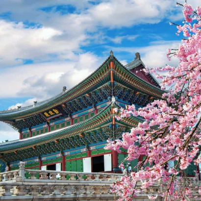 Flores de cerezo en primavera, Seúl en Corea